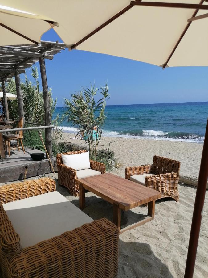 Studio 4 Personnes Bord De Mer Avec Piscine Wifi Cervione Exterior photo
