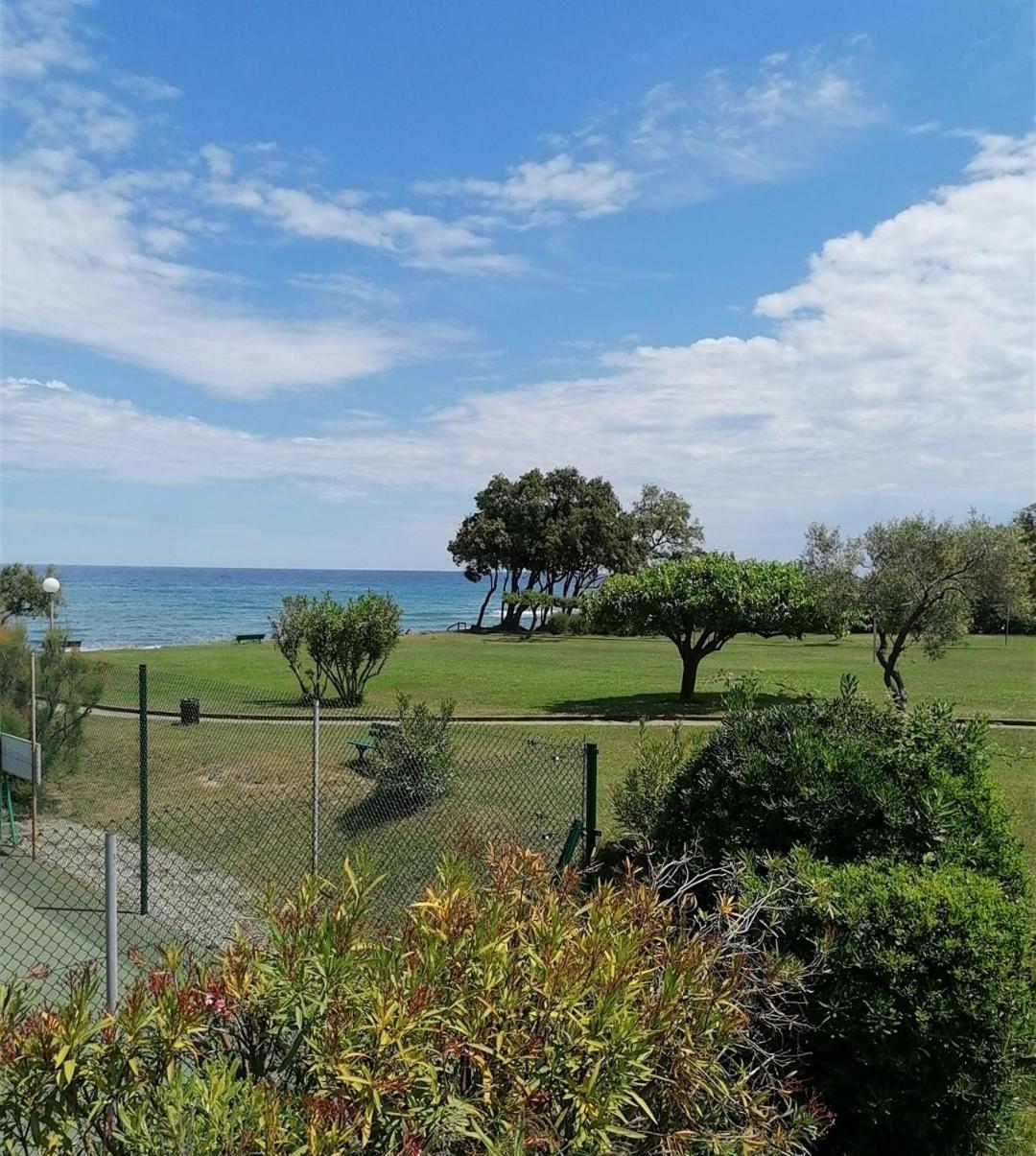 Studio 4 Personnes Bord De Mer Avec Piscine Wifi Cervione Exterior photo
